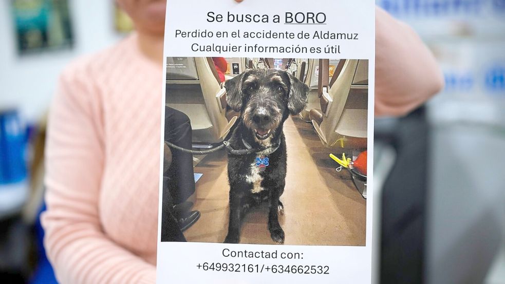 Über diese Familienzusammenführung freut sich ganz Spanien. Foto: Manu Fernandez/AP/dpa