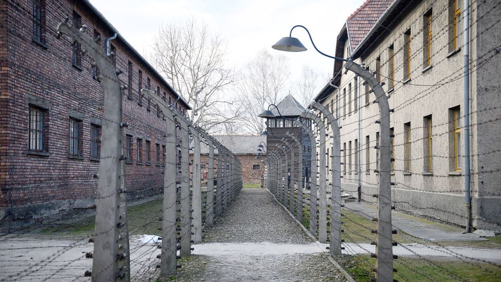 Mehr als eine Million Menschen wurden im Vernichtungslager Auschwitz-Birkenau von den Nazis ermordet. (Archivbild) Foto: Bernd von Jutrczenka/dpa