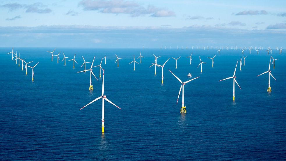 Die Nordsee soll zum „grünen Kraftwerk“ Europas werden. Foto: Sina Schuldt