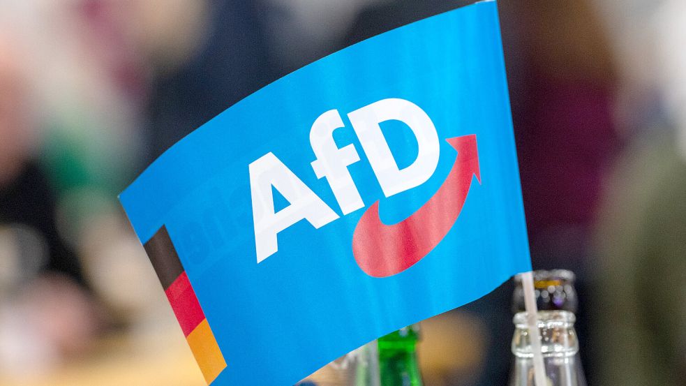 Die AfD beschäftigt sich im Oberledingerland mit Listen und Kandidaturen. Symbolfoto: Harald Tittel/DPA