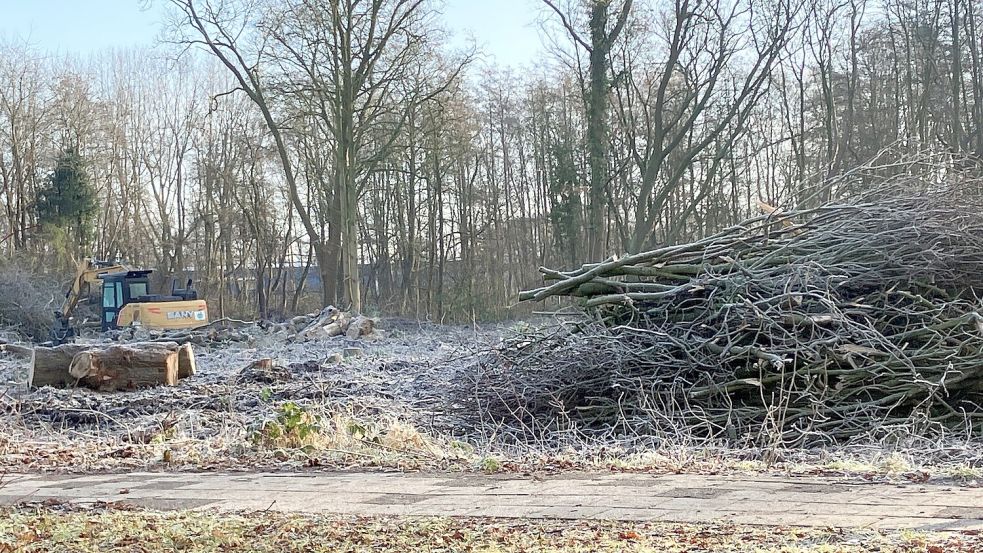 In Papenburg wird Platz für den Bau von sieben Mehrparteienhäusern geschaffen. Fotos: Gerd Schade