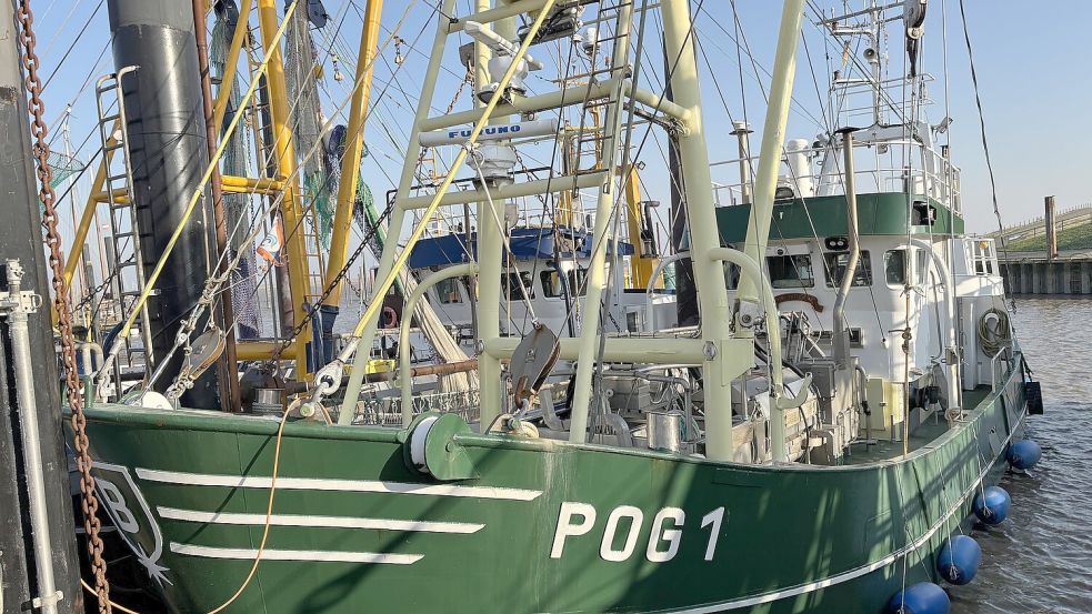 Die Kutter im Ditzumer Hafen sind nicht nur bei Touristen beliebt. Foto: Oliver Bär