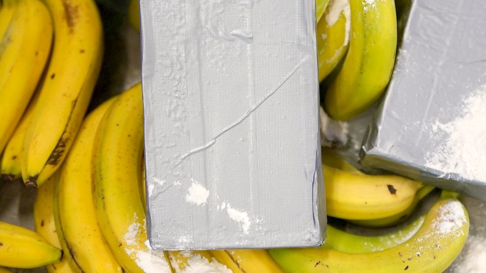 Kokain-Dealer suchen sich nach Angaben von Europol immer neue Schmuggelwege. (Symbolbild) Foto: Marcus Brandt/dpa