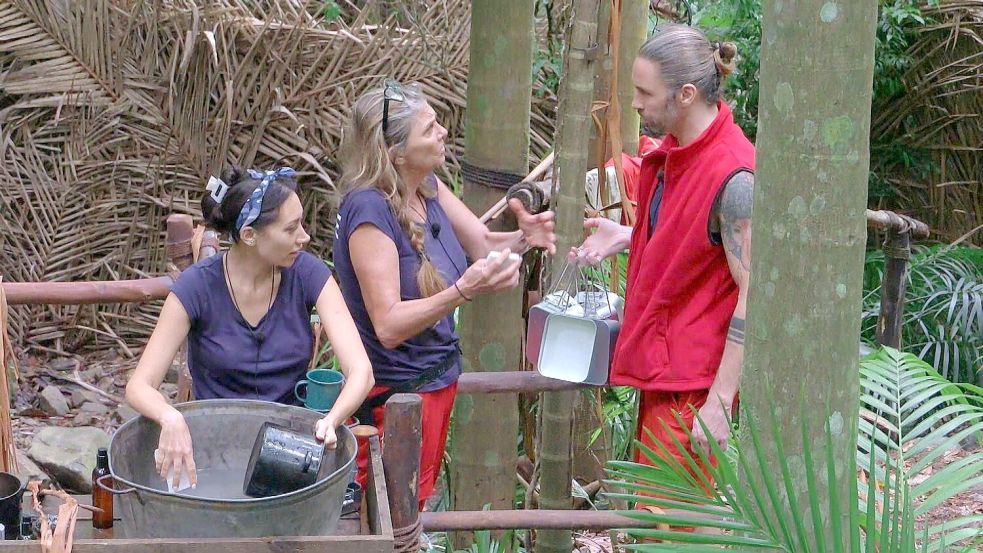 Und wieder dreht sich alles um Gil. Foto: RTL/dpa