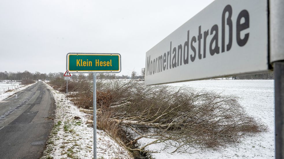 Entlang der Moormerlandstraße zwischen Hesel und Moormerland hat die Samtgemeinde 93 Bäume gefällt. Foto: Klaus Ortgies