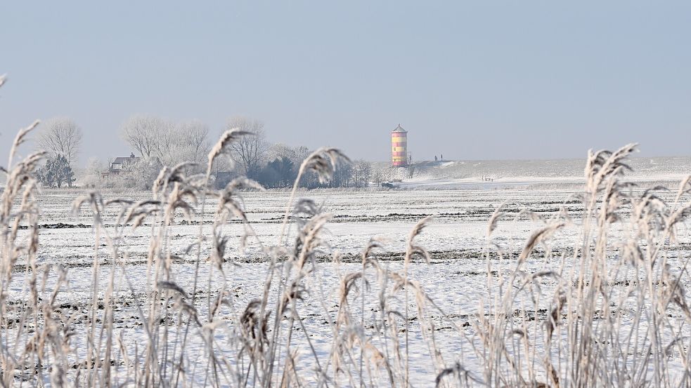 Von Schnee bedeckt: Die Felder in der Krummhörn zeigen sich dieser Tage winterlich. Foto: Heinz Wagenaar