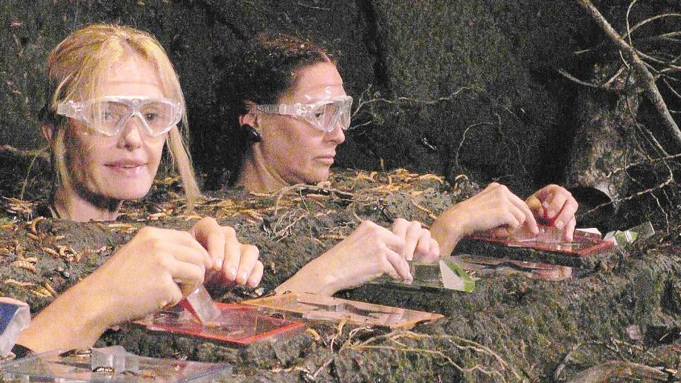 Mirja du Mont scheiterte am Puzzle, Simone Ballack nicht. Foto: RTL/dpa