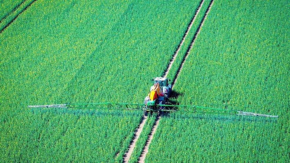 Pflanzenschutzmittel belasten Nützlinge im Boden (Archivbild) Foto: Jens Büttner