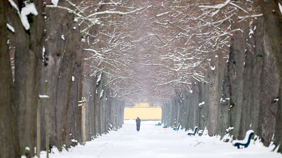 Das Winterwetter bleibt Niedersachsen zunächst erhalten. Foto: dpa/Julian Stratenschulte