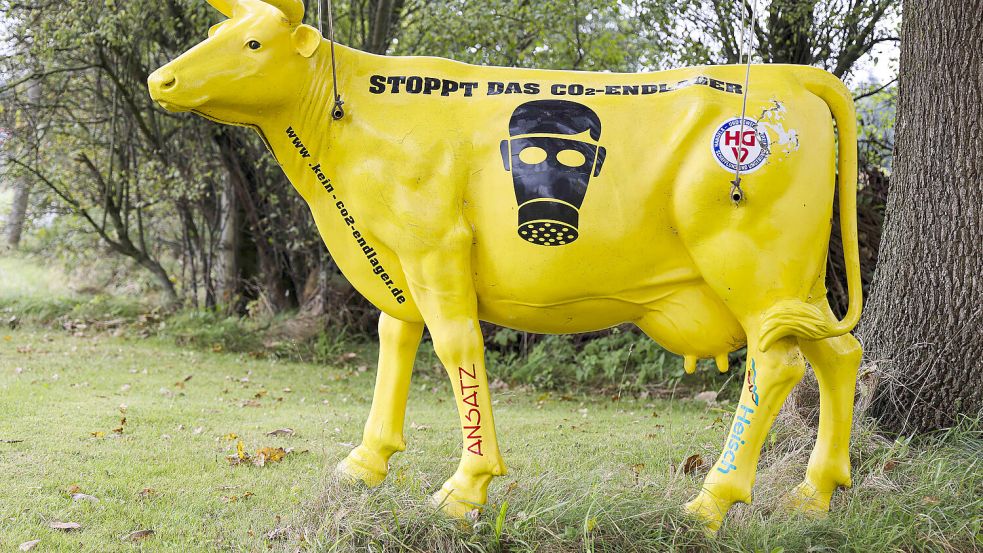 Eine Kuh aus Kunststoff steht als Protest am Straßenrand. In Nordfriesland kämpfen viele Gemeinden gegen die Pläne, Kohlendioxid (CO2) unterirdisch in der Nordsee zu verpressen. Foto: Frank Molter/dpa