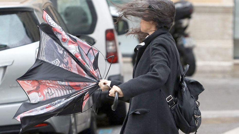 Auch in Spanien wurde weiterer Sturm mit starken Niederschlägen erwartet. Ein Regenschirm wie hier in Málaga hilft da kaum. (Archiv-Bild) Foto: Álex Zea/EUROPA PRESS/dpa