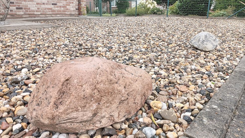 Sie sehen pflegeleicht aus, sind aber schlecht für Insekten: Schottergärten. Foto: Vera Vogt/Archiv