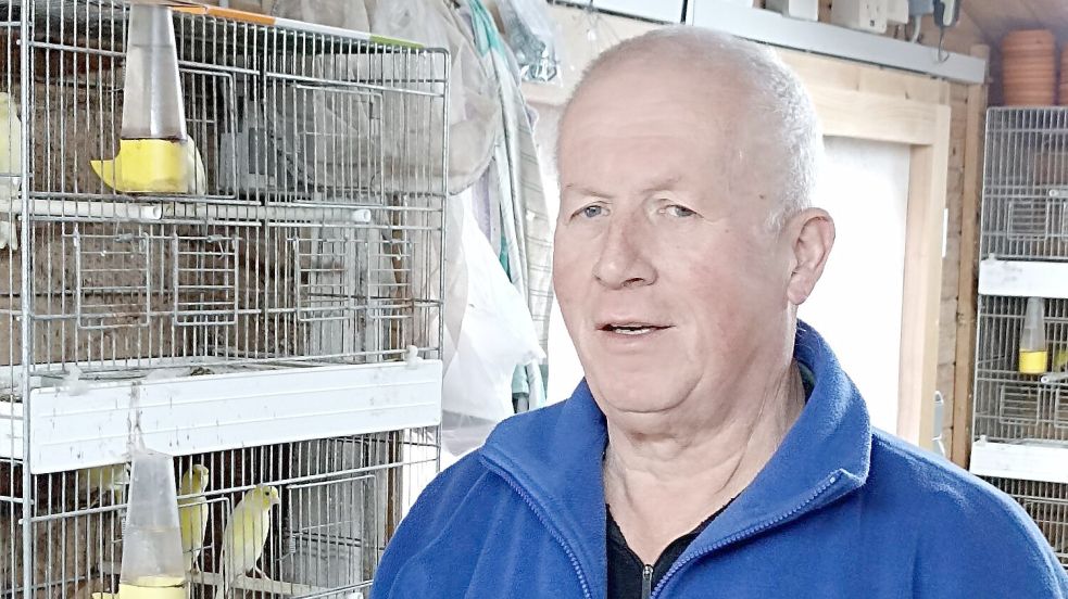 Peter Behrendahls aus Manslagt hat sich der Kanarienzucht verschrieben. Mit seinen Vögeln hat er viele nationale und internationale Titel errungen. Foto: privat