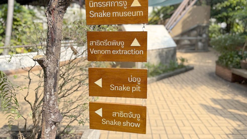 Die Schlangenfarm zur Gewinnung von Antiserum ist eine der ältesten ihrer Art weltweit. Foto: Carola Frentzen/dpa