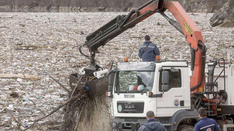 Der Verlust biologischer Vielfalt zählt einem aktuellen Weltbericht zufolge zu den größten Bedrohungen für die Wirtschaft. Foto: Armin Durgut/AP/dpa