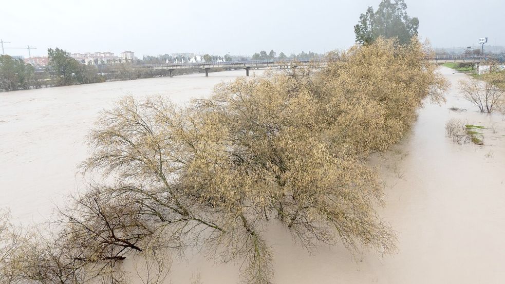 Am Samstag hatte das Sturmtief „Marta“ zahlreiche Flüsse wie hier den Guadalquivir in Andalusien über die Ufer treten lassen. Es war bereits der siebte Atlantiksturm seit Jahresbeginn, der über Portugal und Spanien hinwegzog. Foto: Eduardo Briones/EUROPA PRESS/dpa