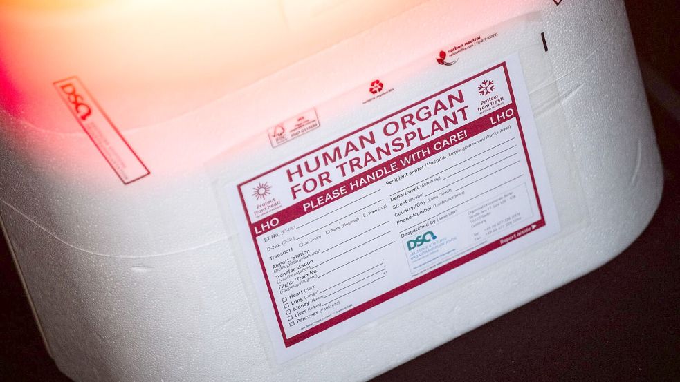 In Neapel braucht der kleine Junge dringend ein neues Spenderherz. (Illustration) Foto: Sebastian Gollnow