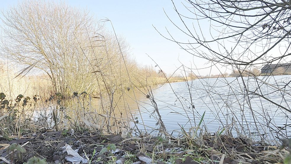 Auch wenn die Kassen Leer sind, wird in Jemgum weiter investiert. 1,3 Millionen fließen etwa in den Landschaftssee in Ditzum. Foto: Bodo Wolters/Archiv