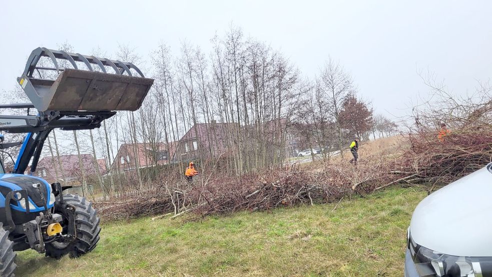 Hinter der Greetsieler Kita haben die Vorbereitungen für den Aufbau der Container-Kita begonnen. Im November soll sie öffnen. Fotos: Heinz Wagenaar