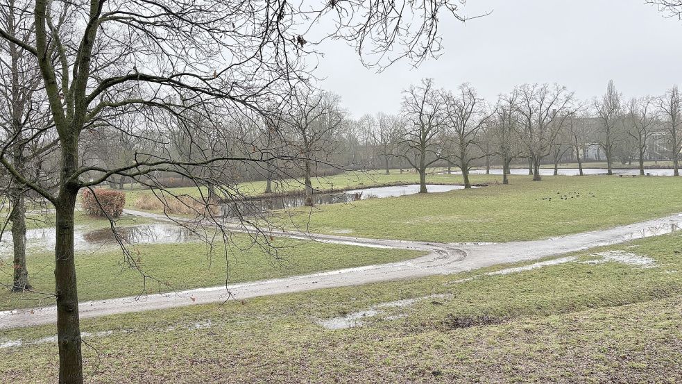 Ein Blick vom Wall reicht aus: Aktuell macht ein Spaziergang am Schwanenteich wenig Freude. Fotos: Stephanie Schuurman