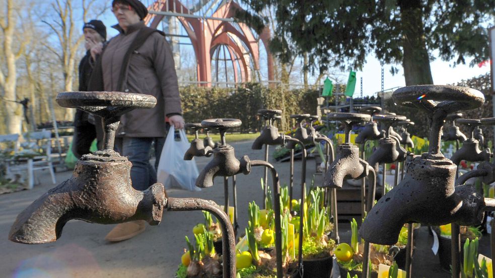 Bei der Klosterstätte in Ihlow dreht sich an diesem Wochenende alles um Schneeglöckchen. Foto: Klaus Ortgies/Archiv