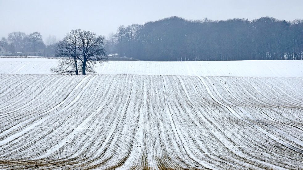 Schnee bis in die Niederungen ist am Samstag für die Mitte und den Süden vorhergesagt. Foto: Bernd Wüstneck