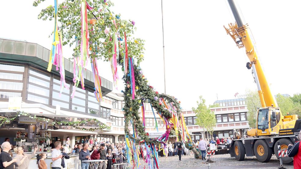 2024 musste erstmals ein Kran anrücken, um den Auricher Maibaum hochzuziehen. Auf dem Marktplatz übernahm dies zuvor ein Bagger. Foto: Karin Böhmer