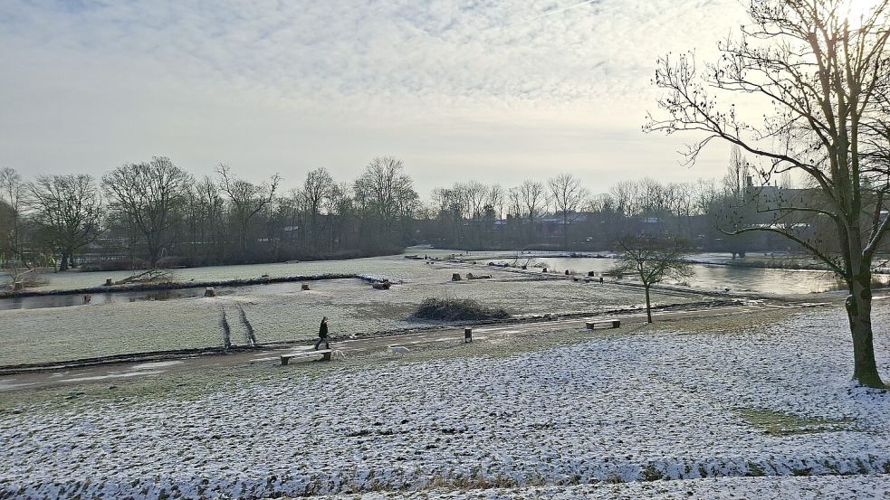 Blick vom Wall auf die Schwanenteiche, deren Baumreihen alle gefällt wurden.