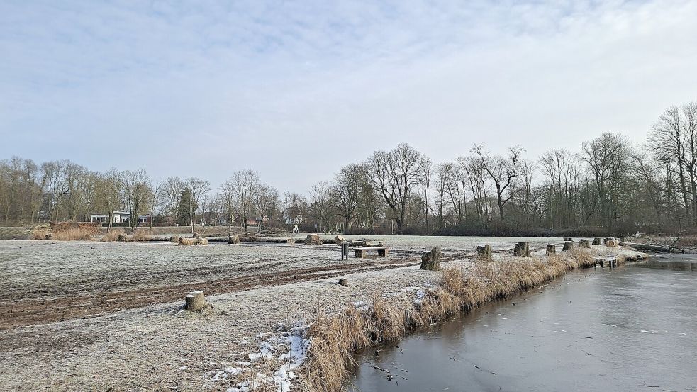 Rund um die Teiche ist es jetzt kahl. Die Uferlinie soll saniert und neue Bäume gepflanzt werden.