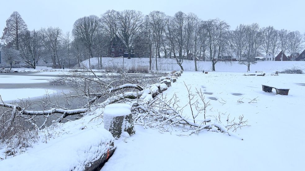 Der Schnee deckt die Baumstümpfe zu.