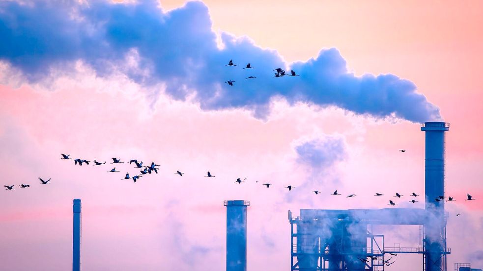 Die deutsche Industrie hat 2025 Umsatz eingebüßt (Archivbild) Foto: Jens Büttner