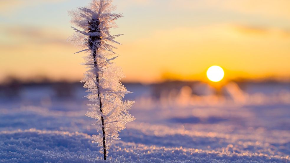 Noch ist es am Morgen teilweise sehr frostig, doch am Wochenende soll es wärmer werden. Foto: dpa/Patrick Pleul