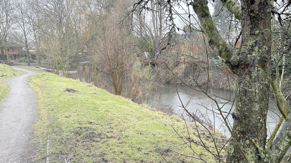 Mittels einer neuen Brücke über das Jemgumer Sieltief soll im Wierdepark eine Fußgängerverbindung zur Oberfletmer Straße geschaffen werden. Foto: Oliver Bär