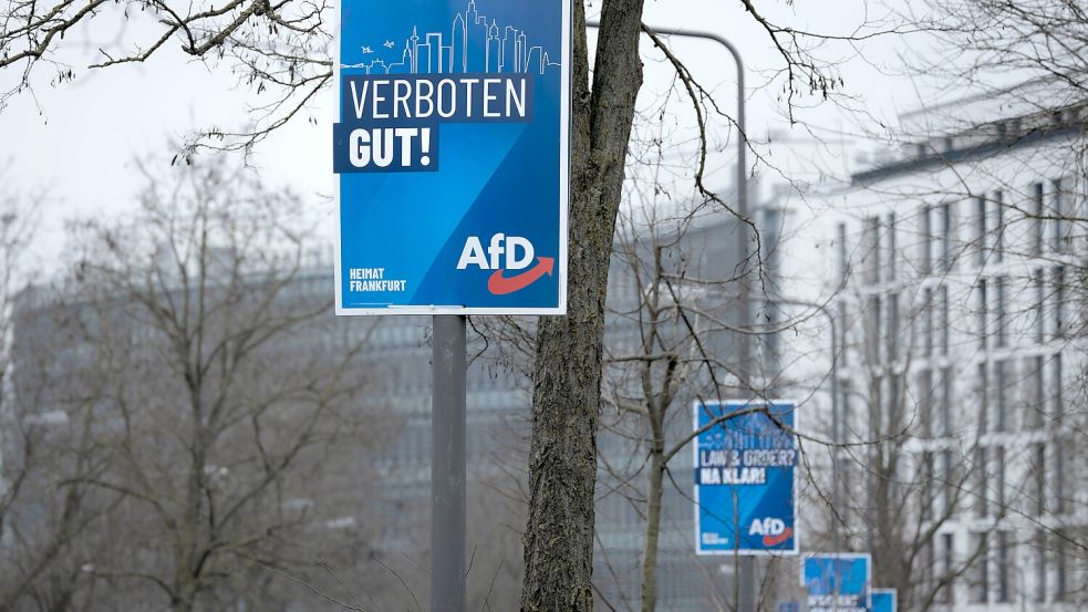 Wie andere Parteien, nutzt au ch die AfD plakate, um bei Wahlen für sich zu werben. Dabei kommt es öfters auch mal zu Kontroversen. Foto: IMAGO/greatif