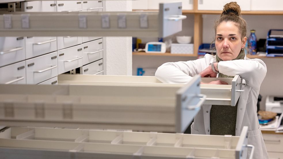Birte Gruber inmitten der Trümmer ihrer Existenz: Die Schubladen ihrer Apotheke sind bereits leer geräumt. Foto: Klaus Ortgies