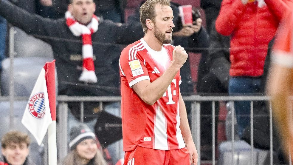 Harry Kane trifft wieder mehrfach. Foto: Harry Langer