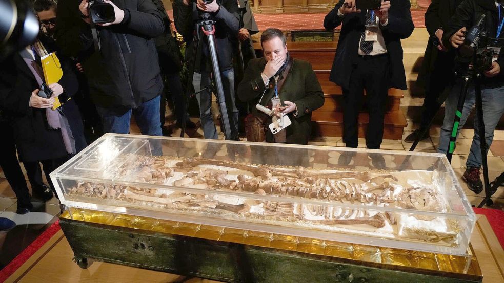 Assisi ist schon seit geraumer Zeit eines der beliebtesten christlichen Pilgerziele der Welt. Foto: Gregorio Borgia/AP/dpa