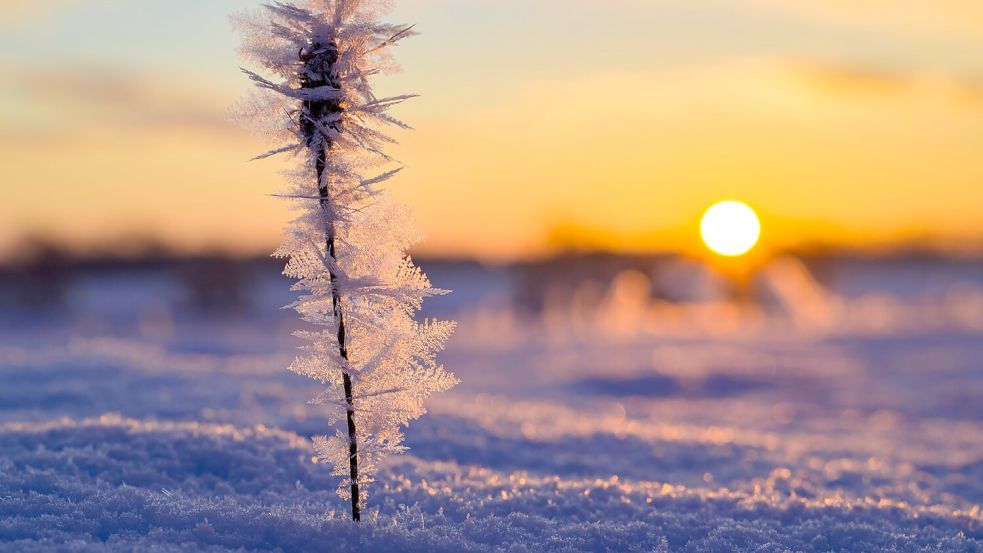 Die Sonne hat deutlich mehr Stunden eingesammelt als im Vergleichszeitraum. (Archivbild) Foto: Patrick Pleul