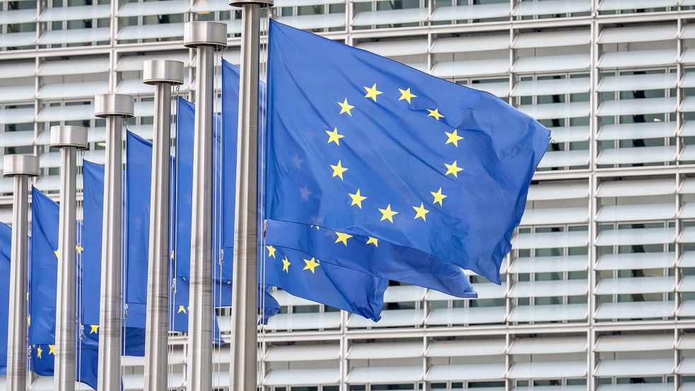 Die EU will mit neuen Gesetzen den Kauf von europäischen Produkten unterstützen. Foto: picture alliance/dpa