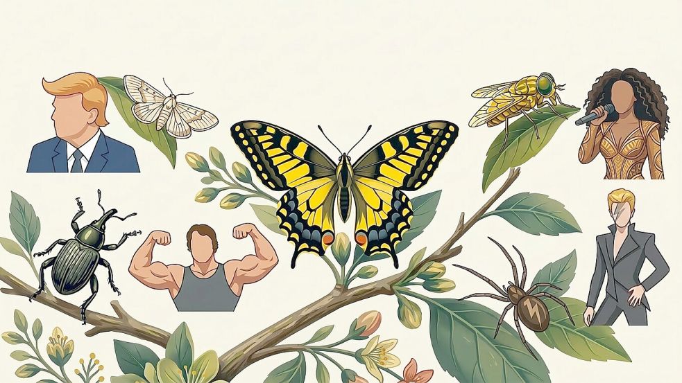 Insekten und Prominente geben eine ungewöhnlich gute Kombination ab. Foto: Jannik Wilk/Perplexity (KI)