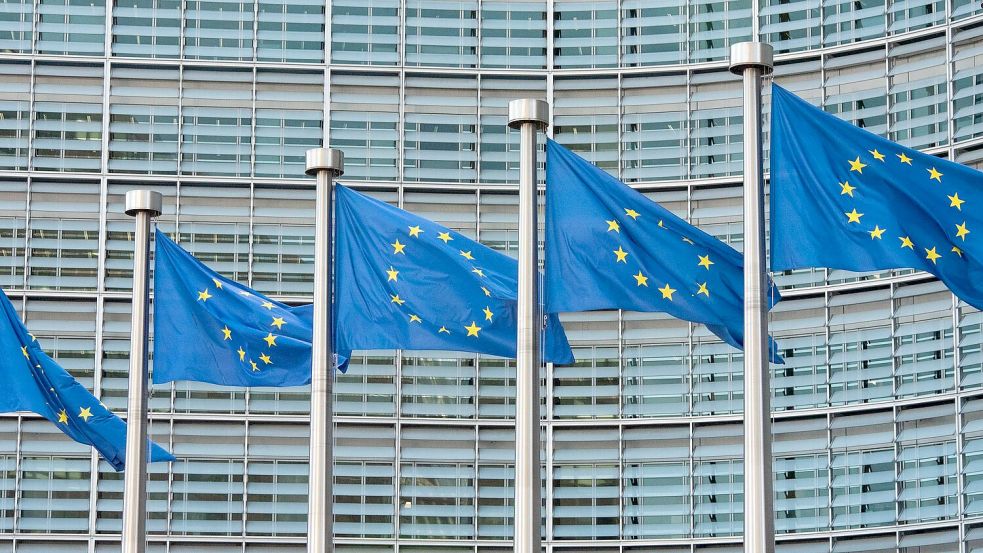 Die EU-Kommission hat im vergangenen Jahr einen deutlichen Anstieg an Warnmeldungen für Verbraucherprodukte registriert. (Symbolbild) Foto: Helena Dolderer