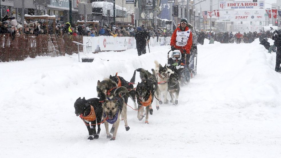 Das Schlittenhunderennen Iditarod ist gestartet. Foto: Mark Thiessen/AP/dpa