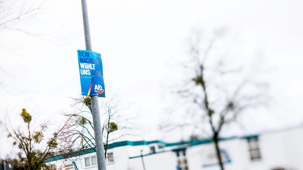 Die AfD hat in mehreren Landesteilen hohe Ergebnisse eingefahren. (Archivbild) Foto: Philipp von Ditfurth/dpa