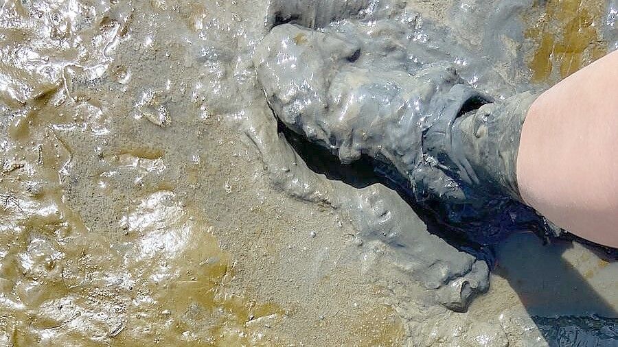 Prickelt zwar nicht im Bauchnabel, aber quatschelt umso schöner zwischen den Zehen: Das Watt ist das Erlebnis schlechthin - und sogar weltweit einzigartig. Foto: Melanie Hanz