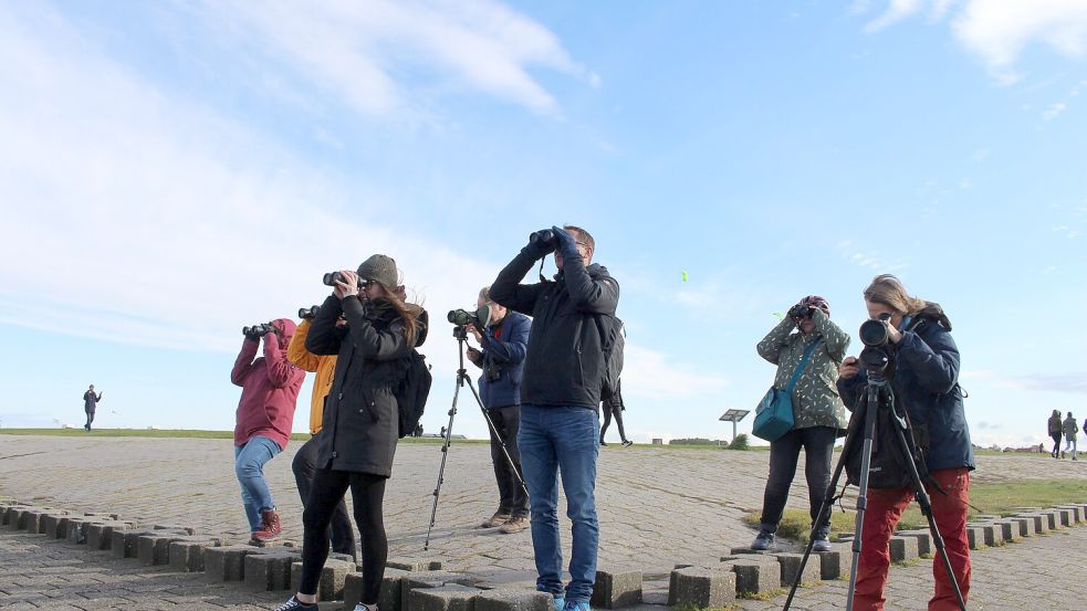 Sind dem "Hidden Trend" um Jahre voraus: Ostfriesen und Urlauber beim Birdwatching - die Region ist das reinste Paradies zum Vögel beobachten. Foto: Archiv