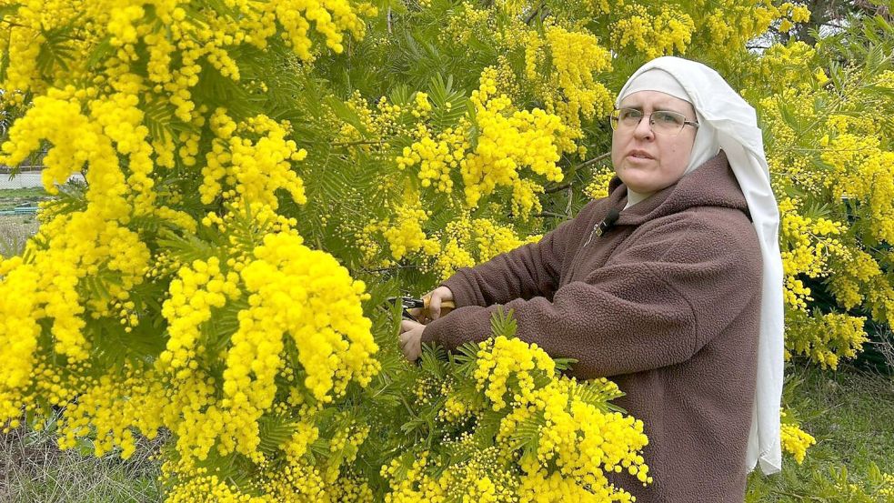 Schwester Paloma beklagt eine „Verfolgung“ und bittet um Hilfe. (Handoutbild) Foto: ---/Francisco Canals/dpa
