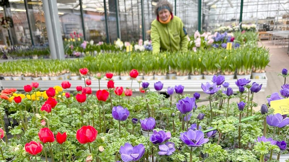 Die Frühjahrsschau setzt wieder Akzente für die schönen Wochen des Jahres. Foto: Privat