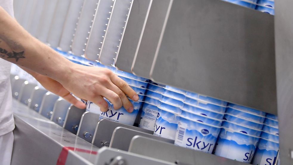 Skyr ist vom Geschmack her ähnlich wie Joghurt und Quark. Foto: Martin Schutt