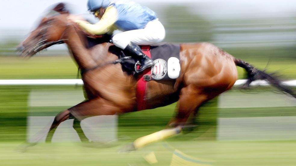 In einer Suppenküche findet ein Gast in seinem Essen den Mikrochip eines ehemaligen Rennpferdes. (Symbolfoto) Foto: Malte Christians