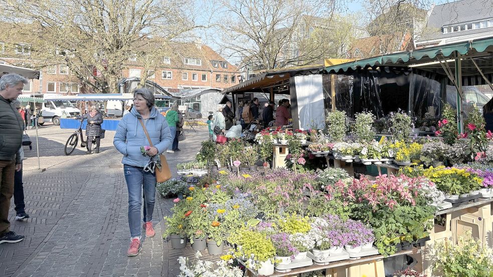 Vor einem Jahr: Ein Blumenmeer am Stadtgarten. Dieser Blumenhändler kommt nicht mehr. Foto: Stephanie Schuurman/Archiv